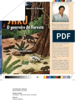 Editoração Da 2 Edição Do Livro Saru, O Guerreiro Da Floresta