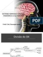 Sistema Nervoso Central, Periférico e Autônomo