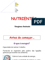 Aula_4_Nutrientes