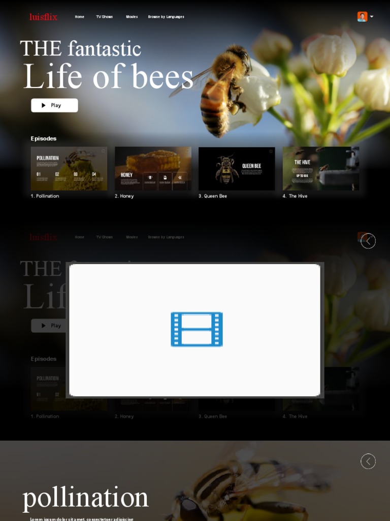 The Fascinating Life of Bees | PDF | Cooking, Food & Wine