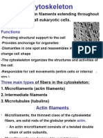 C & M Bio Cytoskeleton