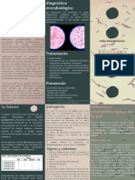 Infecciones Por Clostridios