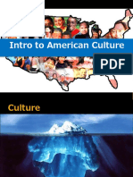 Intro To American Culture 2014