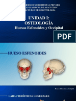 Tema 3. Huesos Esfenoides y Occipital