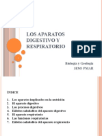 Los Aparatos Digestivo y Respiratorio