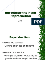 Chapter 23 Plant Reproduction