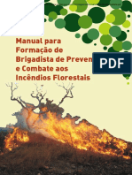 Brigada Combate Incêndios