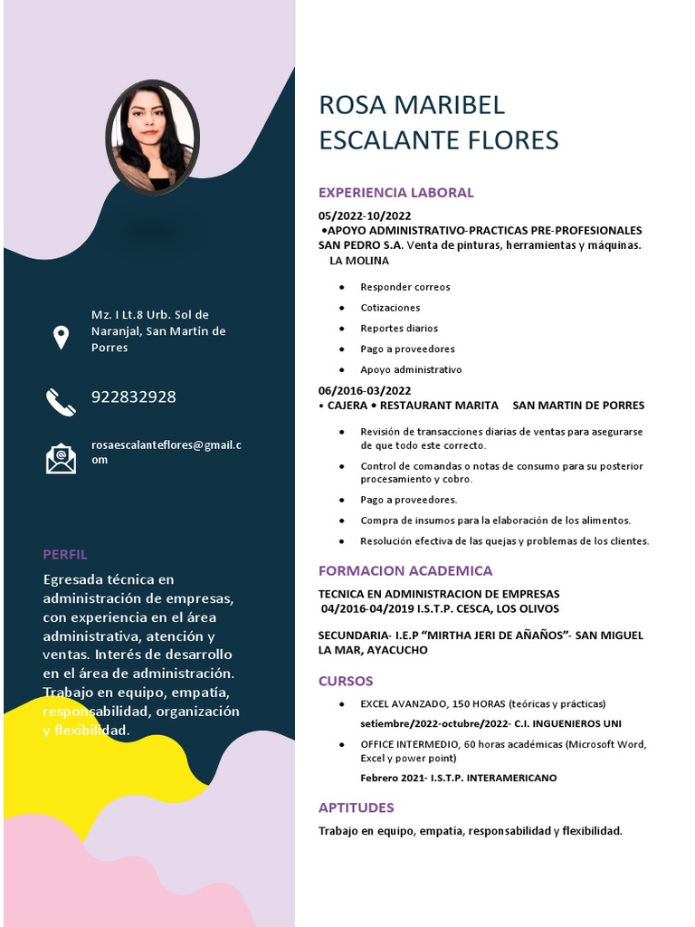 Cv Rosa Escalante Flores | PDF | Informática | Business