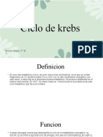 Ciclo de Krebs Mich