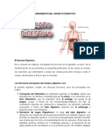 APARATO DIGESTIVO