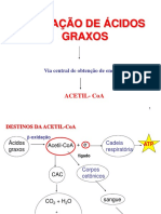 Aula - Metabolismo de Lipideos Catabolismo