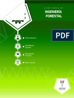 ingForestal-pdf (2) BROCHURE