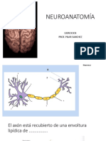 Ejercicios de Neuroanatomía