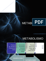 Metabolism o 2