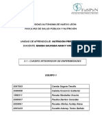 Cuadro Integrador de Enfermedades