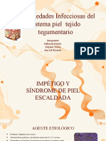 Enfermedades de La Piel (T02)