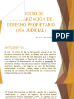 Proceso de Regularización de Derecho Propietario (Vía