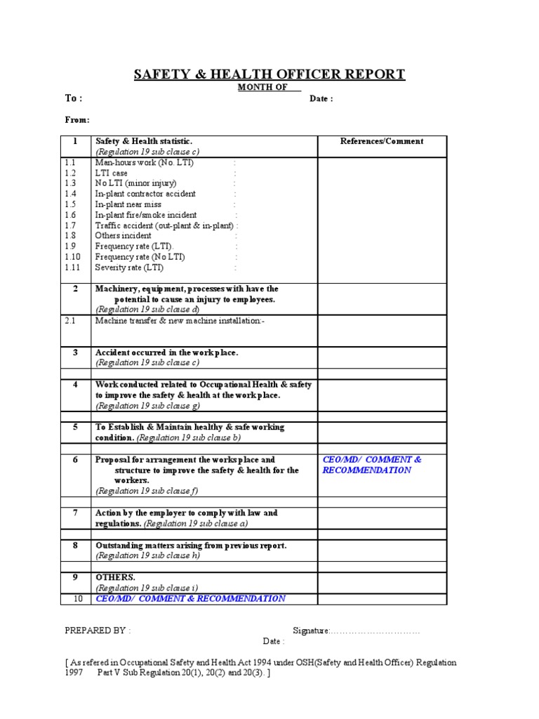 SHO Monthly REPORT Style | PDF