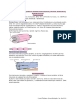 Resumen Neurofisiología U2. 1er Año UCA.