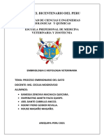 Informe Proceso Embrionario Gato