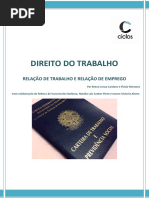 Modelo RP5044 | PDF | Trabalho temporário | Business