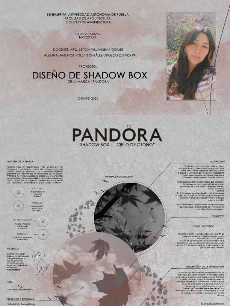 Dise%c3%91o+de+Shadow+Box +Laminas | PDF