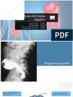 Alteraciones Del Sistema Digestivo