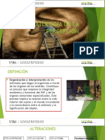 PSICOPATOLOGÍA DE LA PERCEPCIÓN (Autoguardado)