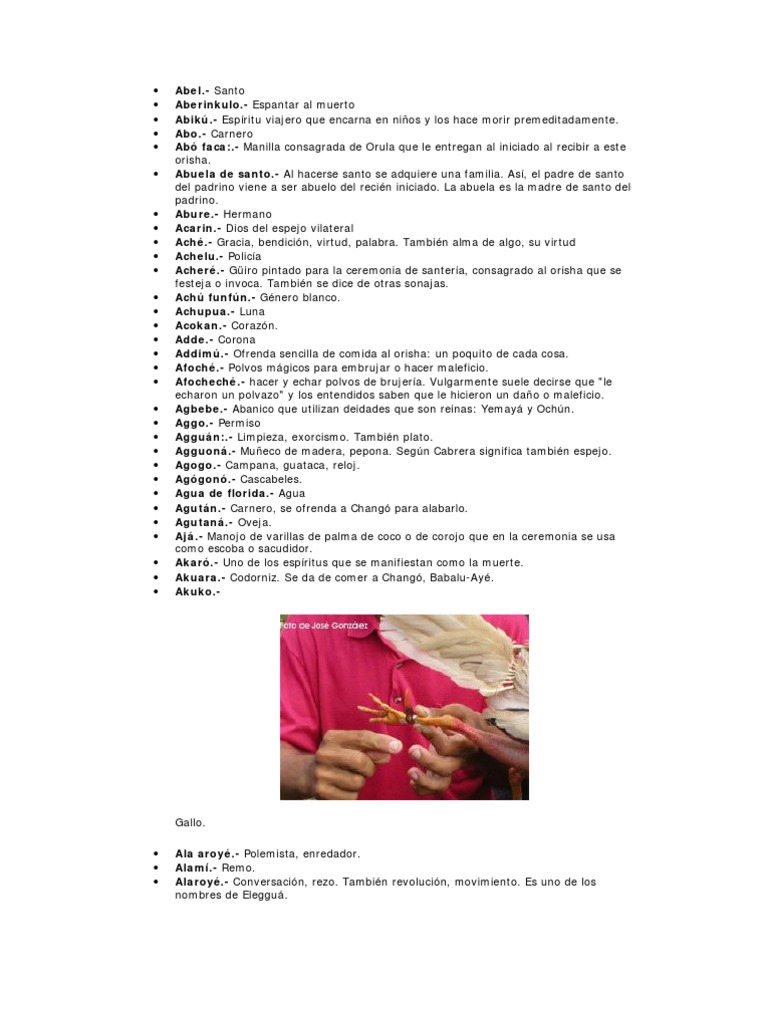 Diccionario de Santeria Santeria Religión y creencia
