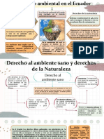 Derecho Ambiental