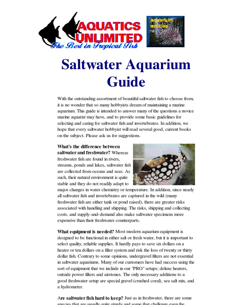 Saltwater Aquarium Guide What's The Difference Between Saltwater and