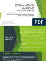 Capacitacion SISTEMA MEDICO MAPUCHE UPLA