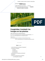Fungicidas - Combatir Los Hongos en Las Plantas - AgroSpray Blog