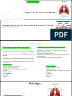 Los Pulmones PDF