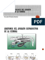 Anatomia y Fisiologia Del Aparato Reproductor