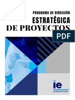 Programa Dirección Estratégica Proyectos