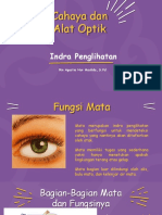 Indra Penglihatan