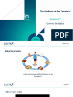 Metabolismo de Las Proteinas