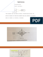 Presentación TEJIDO NERVISO Y NEUROTRANSMISORES Sept 23