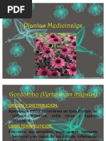 Enciclopedia De Plantas Medicinales Plantas Medicinales Hoja