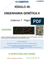 MÓDULO 30 Engenharia Genetica II