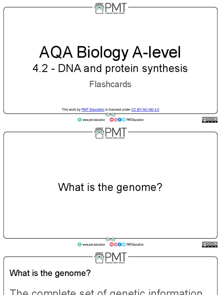 4.2 Dna and Protein Synthesis Flashcards PDF Translation (Biology