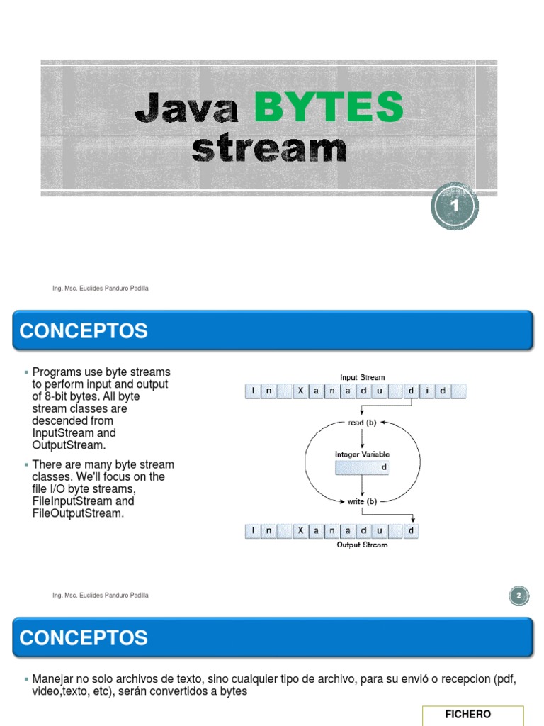 Java Bytes Stream FileInputStream y Output PDF