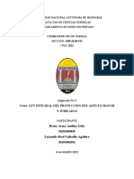 Analisis Ley Integral de Protección Al Adulto Mayor y Jubilados