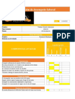 Evaluacion Desempeño