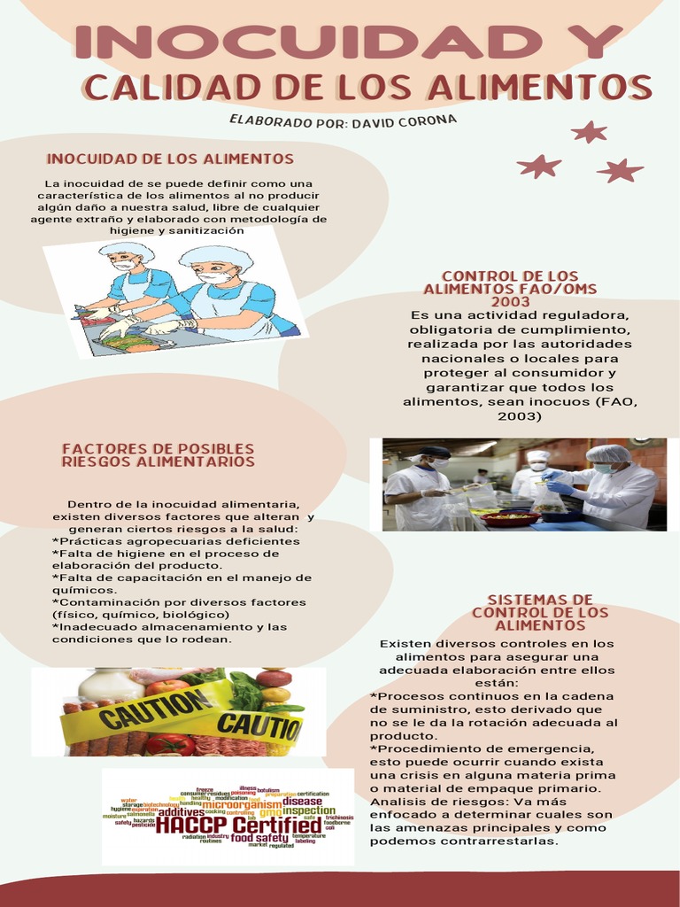 Inocuidad y | PDF | Alimentos | Nutrición