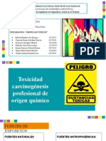 Grupo Los Toxicos-Exposición