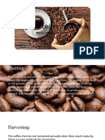 Stages of coffee production