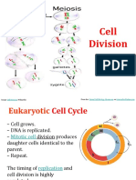 Mitosis and Meiosis 02152018