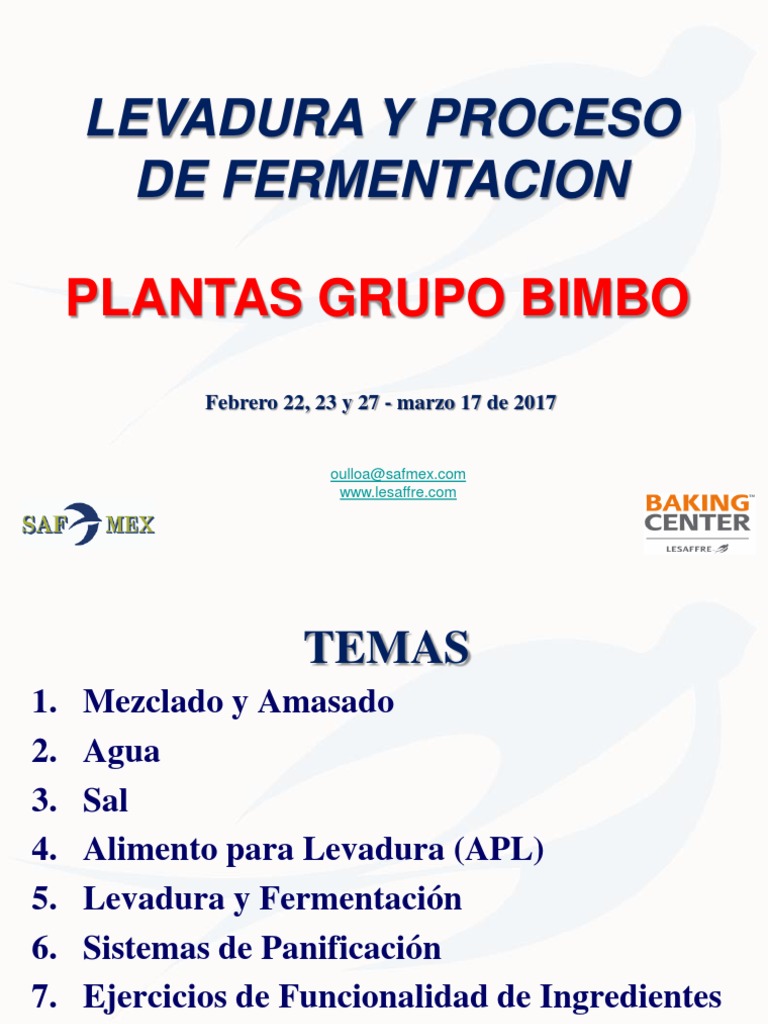 Proceso de Amasado y Fermentación en Bimbo | PDF | Levadura | Panes